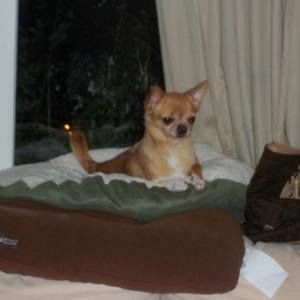 Meet your Posher, Leah